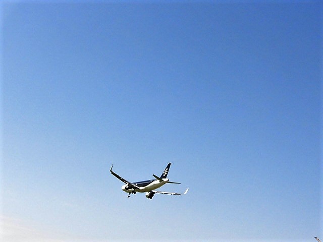 🛫楽しんでいただく為に🛫