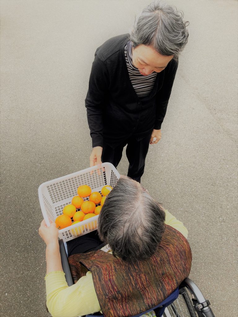 🍊みかん狩り🍊